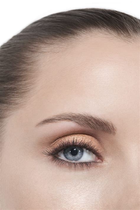 chanel visone eyeshadow|chanel les beiges warm eyeshadow.